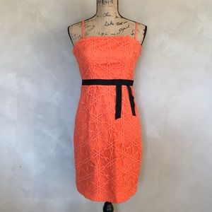 Plenty by Tracy Reese framed strapless dress